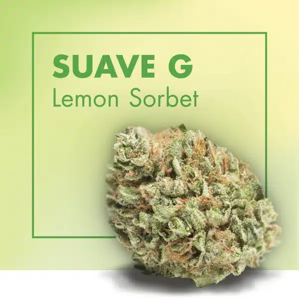 CANNACTIVA EC Suave Lemon Soda 2gr